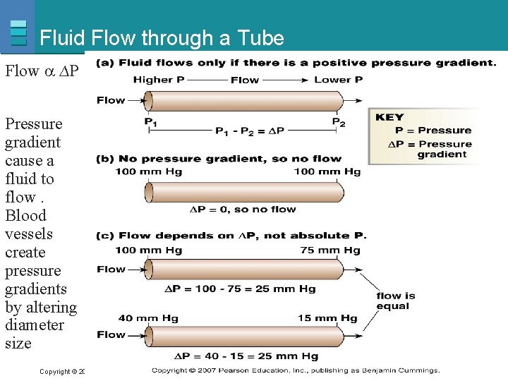 Fluid Flow through a Tube Flow ∆P Pressure gradient cause a fluid to flow.