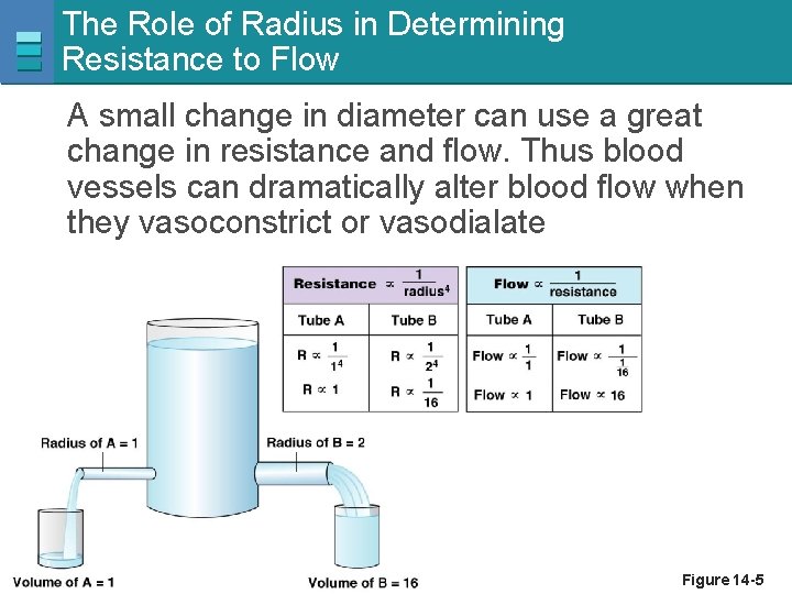 The Role of Radius in Determining Resistance to Flow A small change in diameter