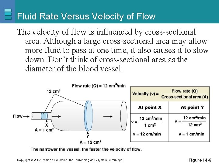 Fluid Rate Versus Velocity of Flow The velocity of flow is influenced by cross-sectional