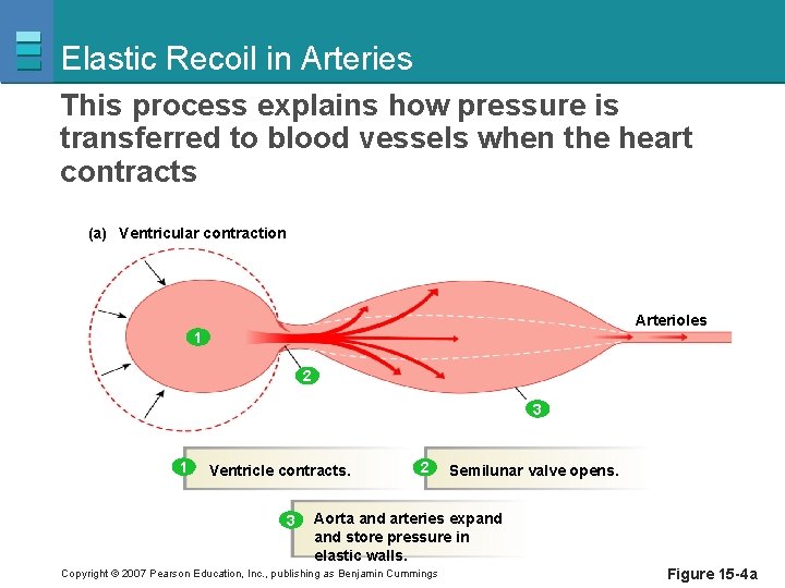 Elastic Recoil in Arteries This process explains how pressure is transferred to blood vessels