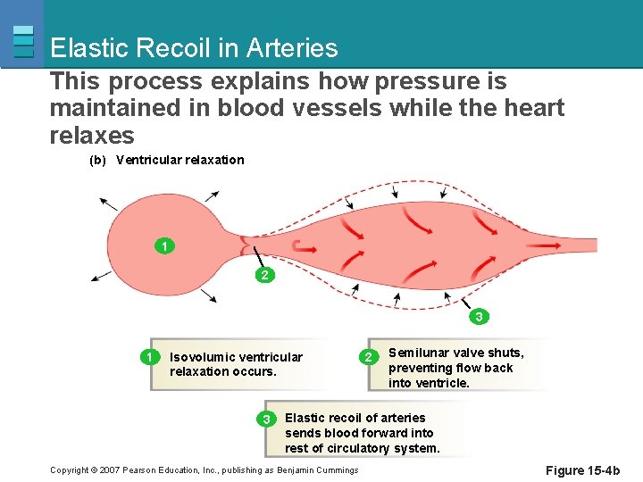 Elastic Recoil in Arteries This process explains how pressure is maintained in blood vessels