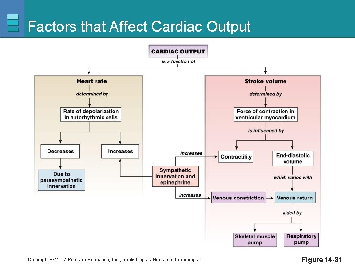 Factors that Affect Cardiac Output Copyright © 2007 Pearson Education, Inc. , publishing as