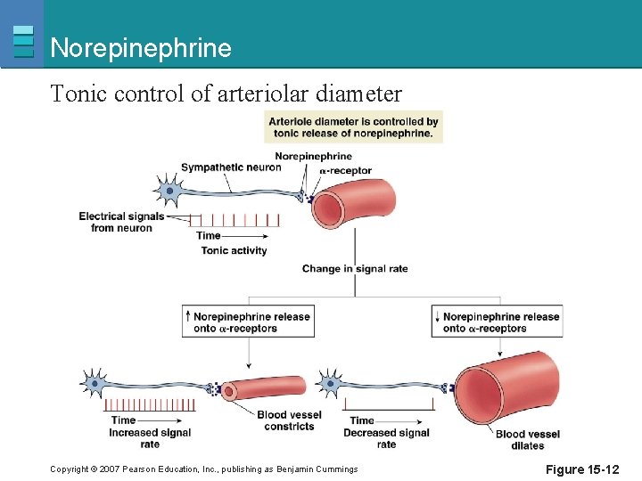 Norepinephrine Tonic control of arteriolar diameter Copyright © 2007 Pearson Education, Inc. , publishing