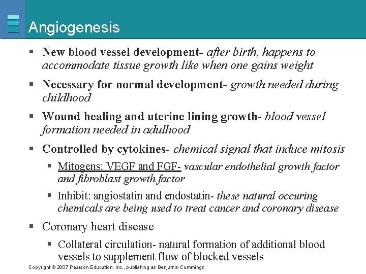 Angiogenesis § New blood vessel development- after birth, happens to accommodate tissue growth like