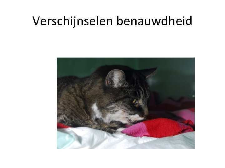 Verschijnselen benauwdheid 