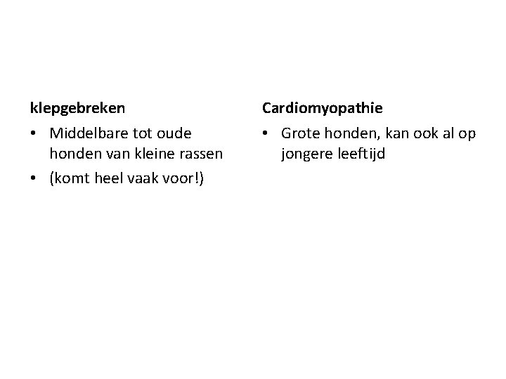 klepgebreken Cardiomyopathie • Middelbare tot oude honden van kleine rassen • (komt heel vaak