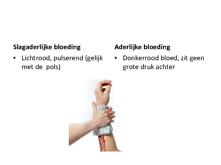 Slagaderlijke bloeding Aderlijke bloeding • Lichtrood, pulserend (gelijk met de pols) • Donkerrood bloed,