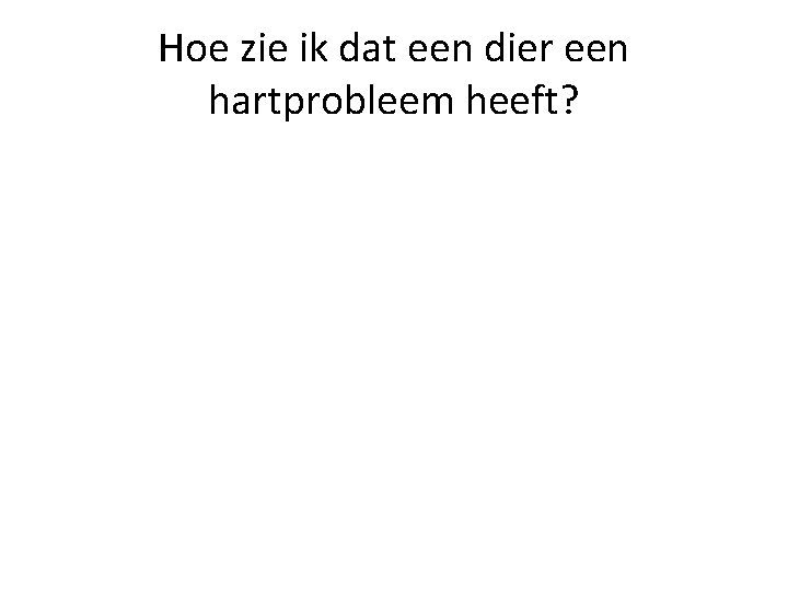 Hoe zie ik dat een dier een hartprobleem heeft? 