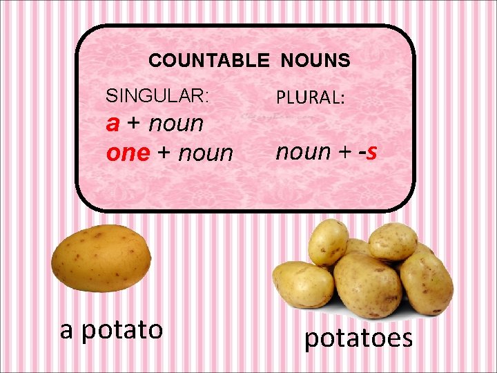 COUNTABLE NOUNS SINGULAR: a + noun one + noun a potato PLURAL: noun +