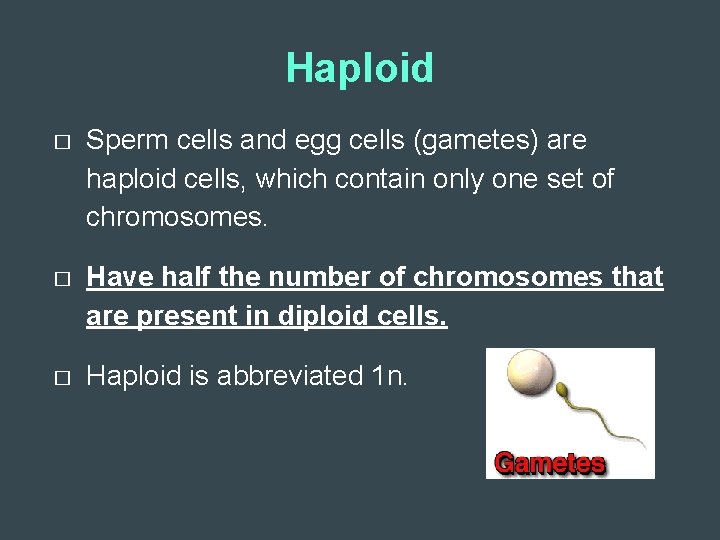 Haploid � Sperm cells and egg cells (gametes) are haploid cells, which contain only