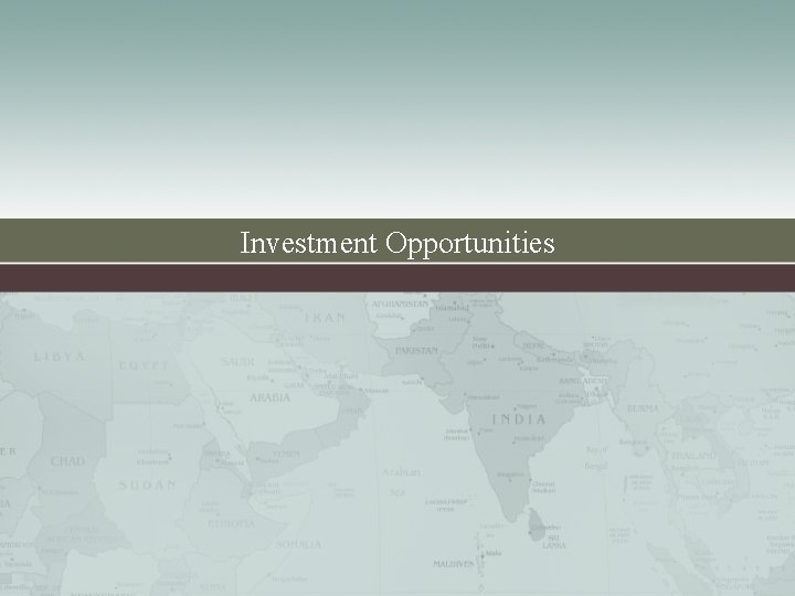 Investment Opportunities 