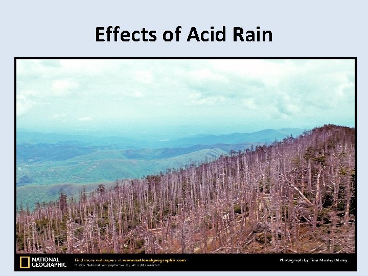 Effects of Acid Rain 