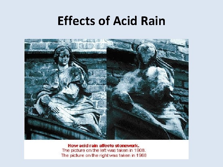 Effects of Acid Rain 