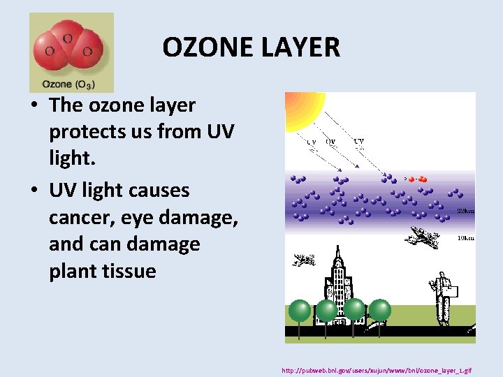 OZONE LAYER • The ozone layer protects us from UV light. • UV light