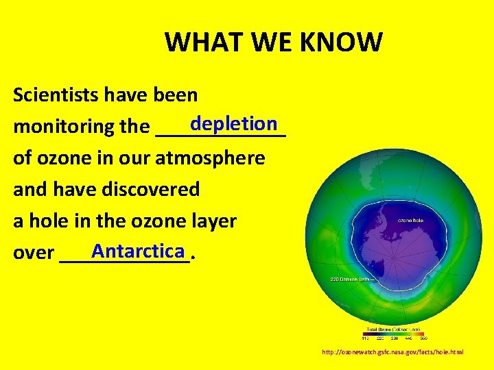 WHAT WE KNOW Scientists have been depletion monitoring the ______ of ozone in our