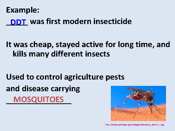Example: _____ DDT was first modern insecticide It was cheap, stayed active for long