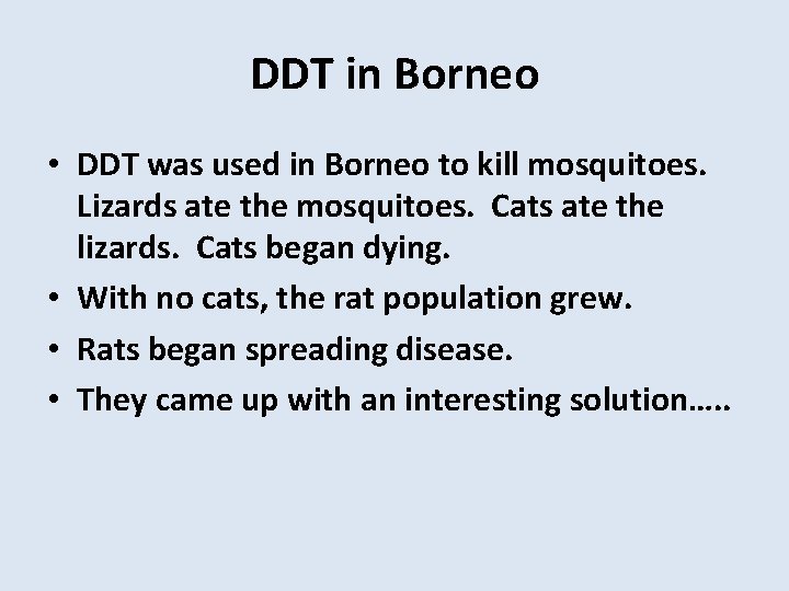 DDT in Borneo • DDT was used in Borneo to kill mosquitoes. Lizards ate