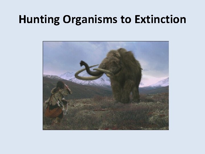 Hunting Organisms to Extinction 