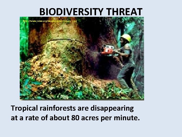 BIODIVERSITY THREAT http: //www. lubee. org/images/about-threats-1. jpg Tropical rainforests are disappearing at a rate
