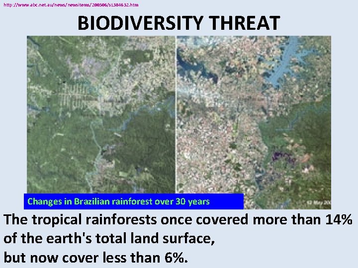 http: //www. abc. net. au/newsitems/200506/s 1384632. htm BIODIVERSITY THREAT Changes in Brazilian rainforest over