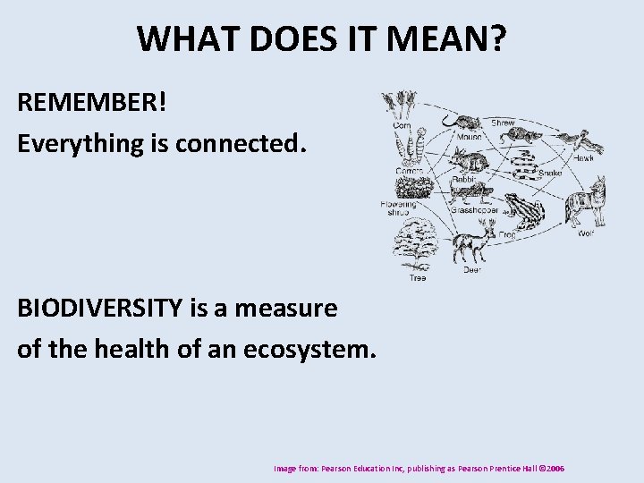 WHAT DOES IT MEAN? REMEMBER! Everything is connected. BIODIVERSITY is a measure of the