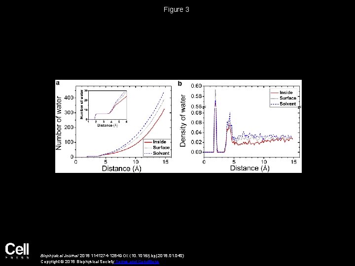Figure 3 Biophysical Journal 2018 1141274 -1284 DOI: (10. 1016/j. bpj. 2018. 01. 040)