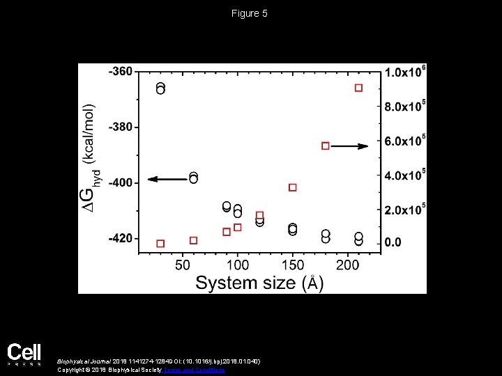 Figure 5 Biophysical Journal 2018 1141274 -1284 DOI: (10. 1016/j. bpj. 2018. 01. 040)