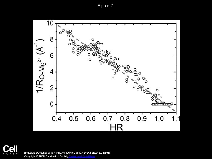 Figure 7 Biophysical Journal 2018 1141274 -1284 DOI: (10. 1016/j. bpj. 2018. 01. 040)