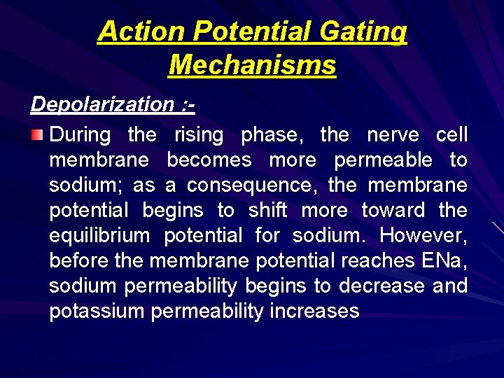 Action Potential Gating Mechanisms Depolarization : During the rising phase, the nerve cell membrane