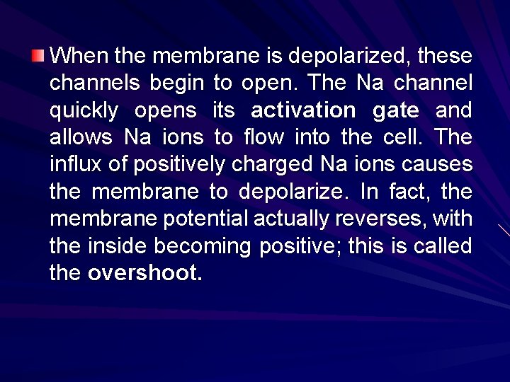 When the membrane is depolarized, these channels begin to open. The Na channel quickly