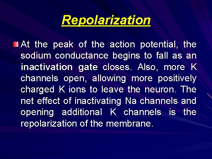 Repolarization At the peak of the action potential, the sodium conductance begins to fall