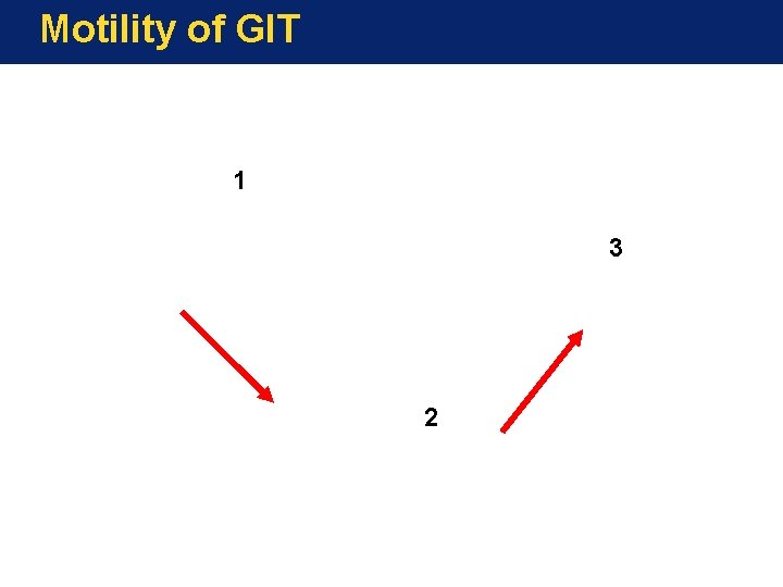 Motility of GIT 1 3 2 