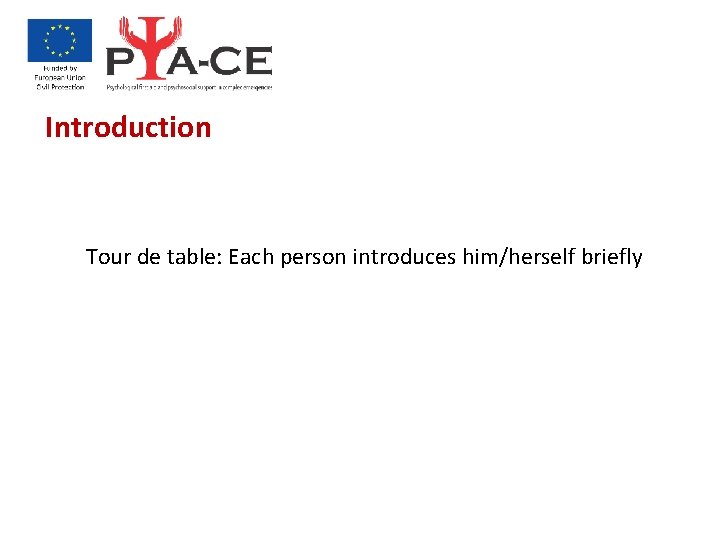 Introduction Tour de table: Each person introduces him/herself briefly 