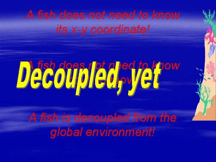 A fish does not need to know its x-y coordinate! A fish does not