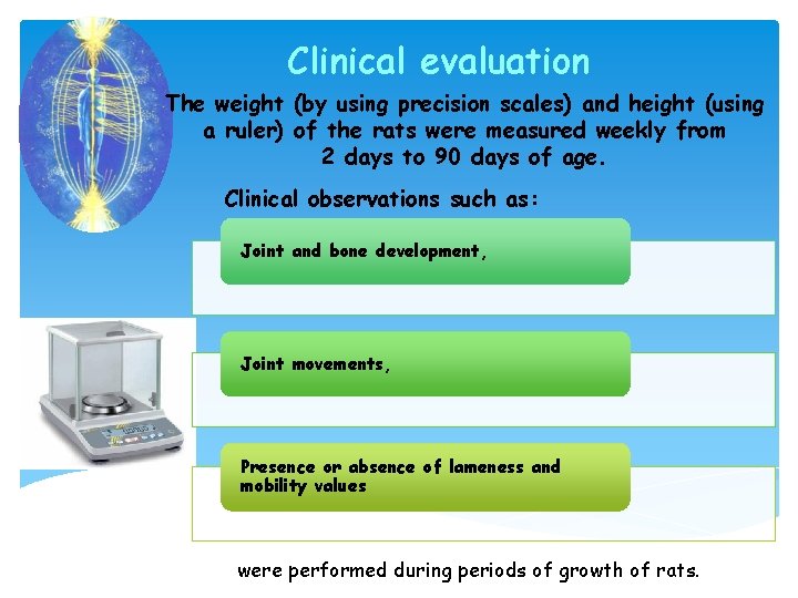 Clinical evaluation The weight (by using precision scales) and height (using a ruler) of