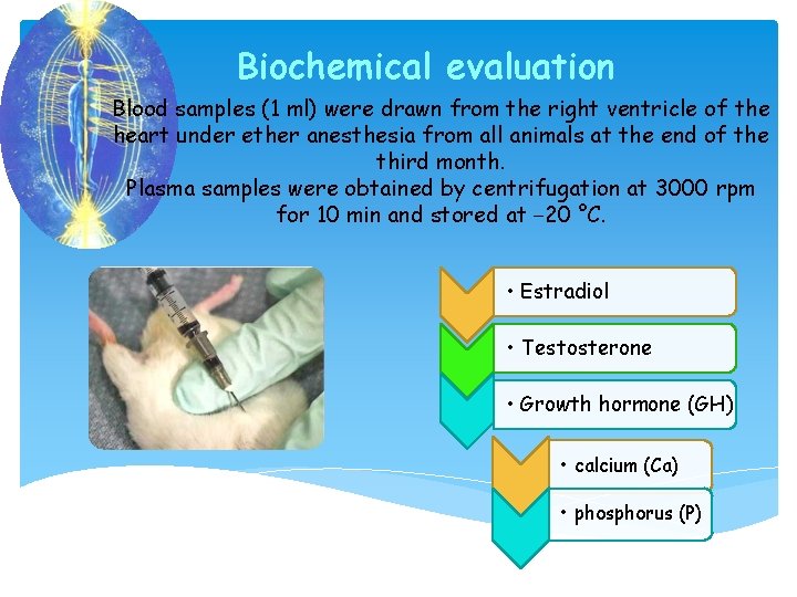 Biochemical evaluation Blood samples (1 ml) were drawn from the right ventricle of the
