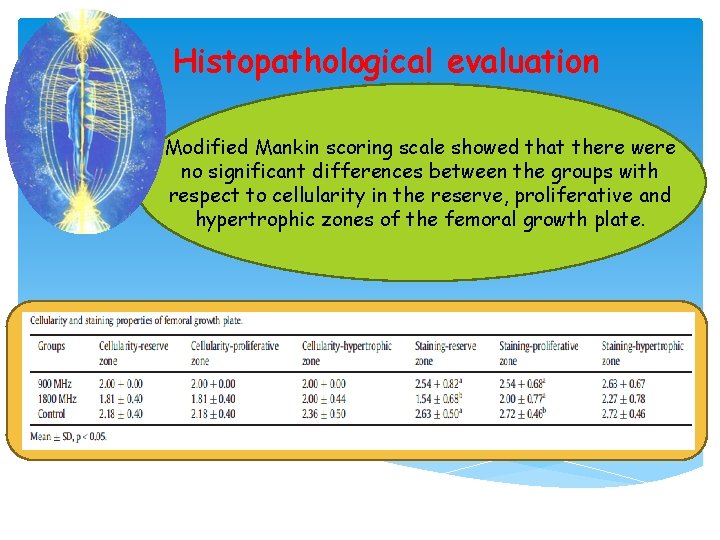 Histopathological evaluation Modified Mankin scoring scale showed that there were no significant differences between