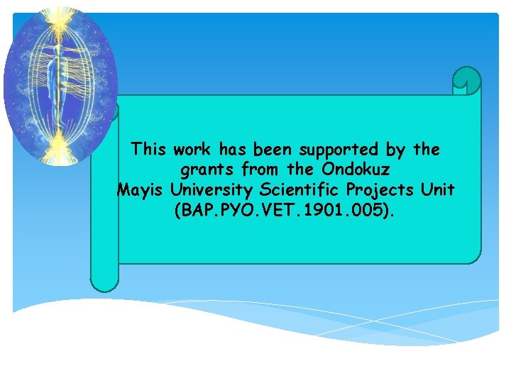 This work has been supported by the grants from the Ondokuz Mayis University Scientific