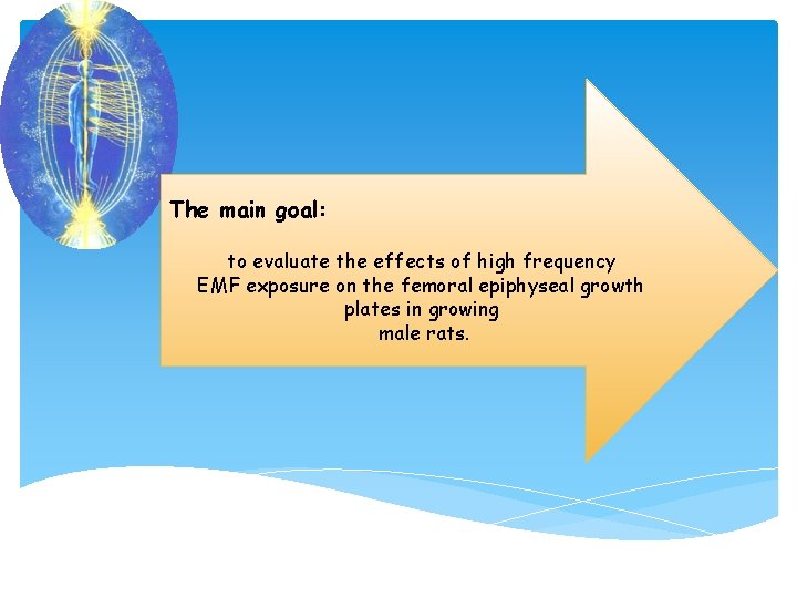 The main goal: to evaluate the effects of high frequency EMF exposure on the