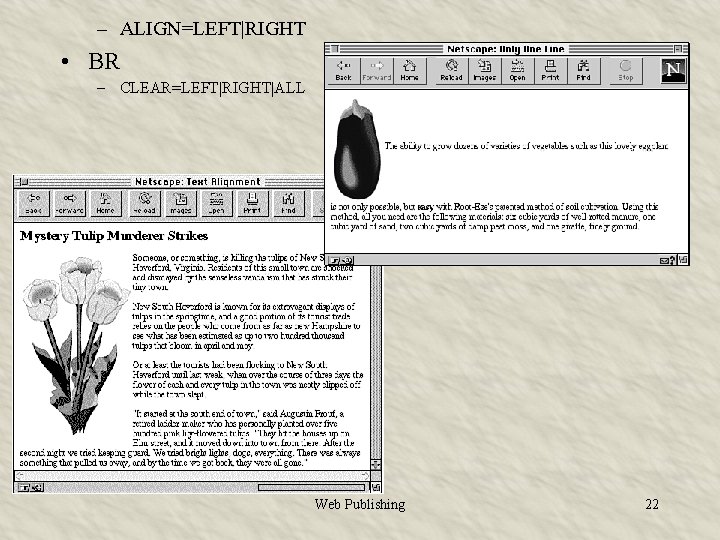 – ALIGN=LEFT|RIGHT • BR – CLEAR=LEFT|RIGHT|ALL Web Publishing 22 