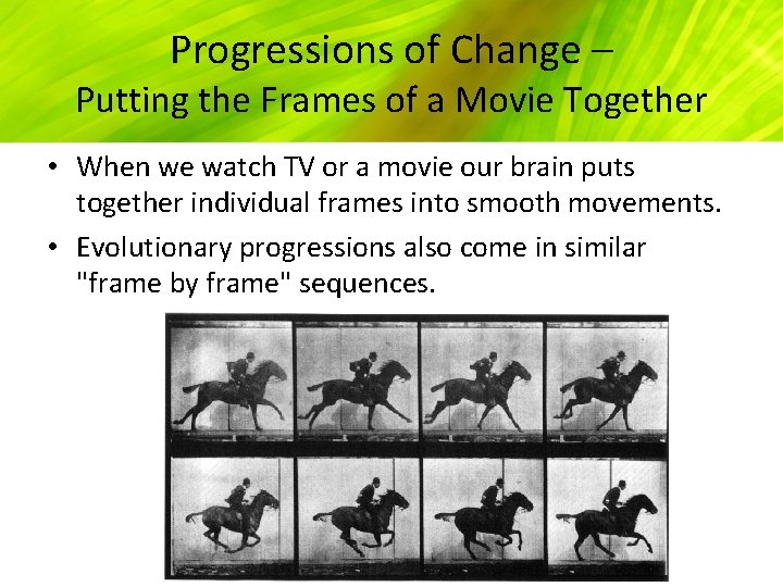 Progressions of Change – Putting the Frames of a Movie Together • When we