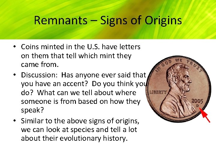 Remnants – Signs of Origins • Coins minted in the U. S. have letters