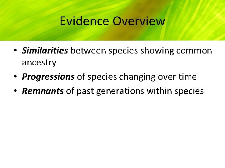 Evidence Overview • Similarities between species showing common ancestry • Progressions of species changing