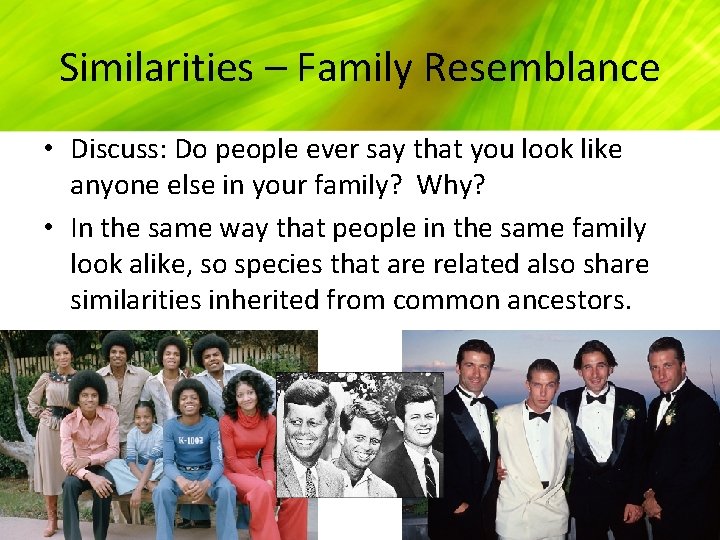 Similarities – Family Resemblance • Discuss: Do people ever say that you look like