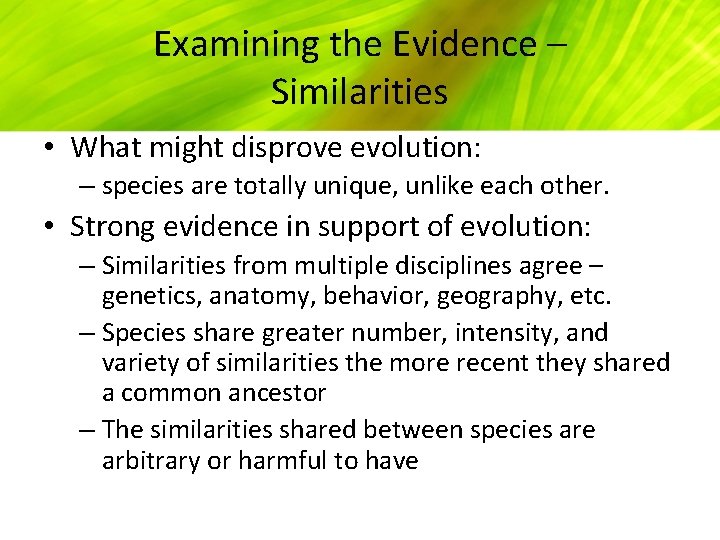 Examining the Evidence – Similarities • What might disprove evolution: – species are totally