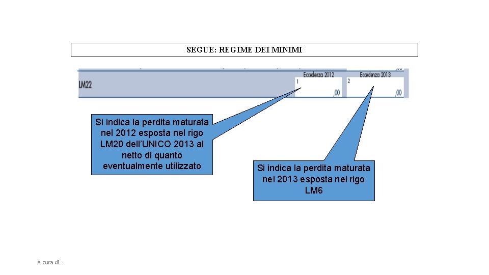 SEGUE: REGIME DEI MINIMI Si indica la perdita maturata nel 2012 esposta nel rigo