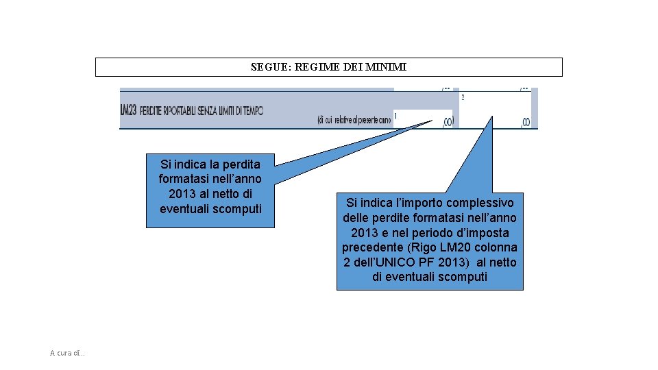 SEGUE: REGIME DEI MINIMI Si indica la perdita formatasi nell’anno 2013 al netto di