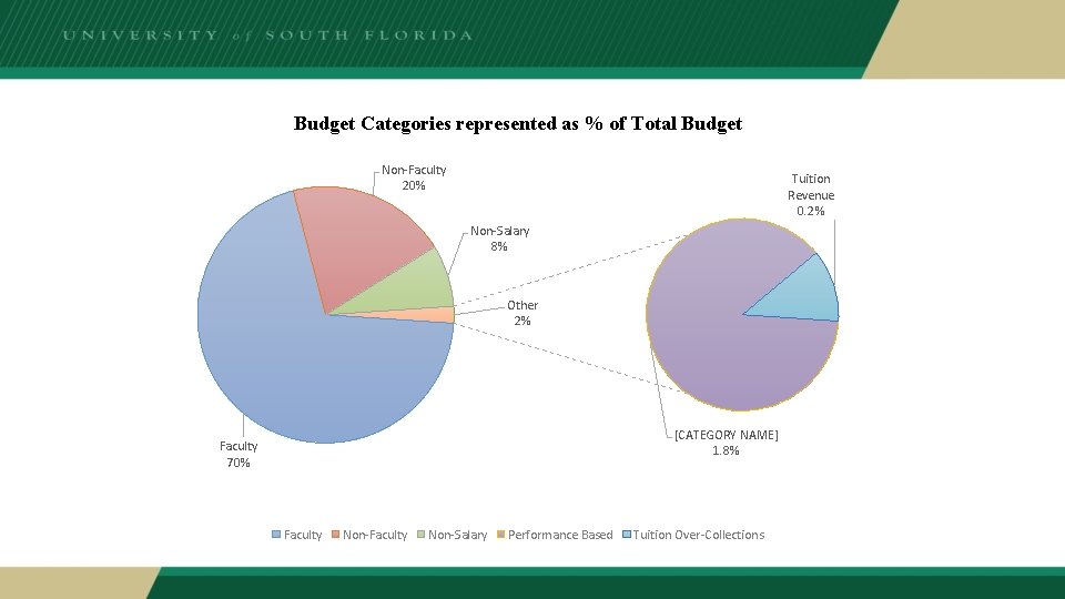 Budget Categories represented as % of Total Budget Non-Faculty 20% Tuition Revenue 0. 2%