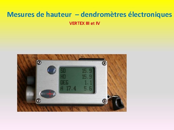 Mesures de hauteur – dendromètres électroniques VERTEX III et IV 