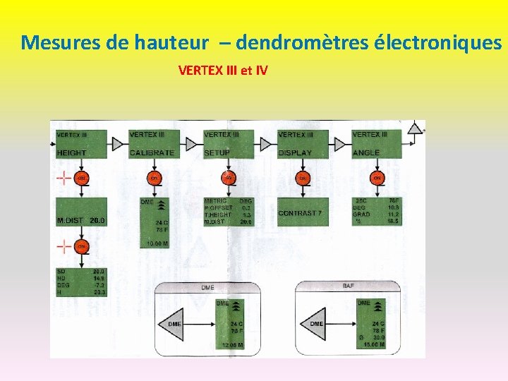 Mesures de hauteur – dendromètres électroniques VERTEX III et IV 